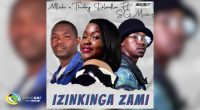 Izinkinga Zami